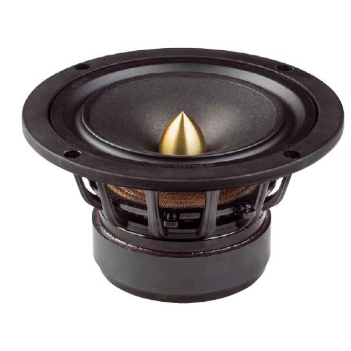 Datensatz: Tang Band W5-2106