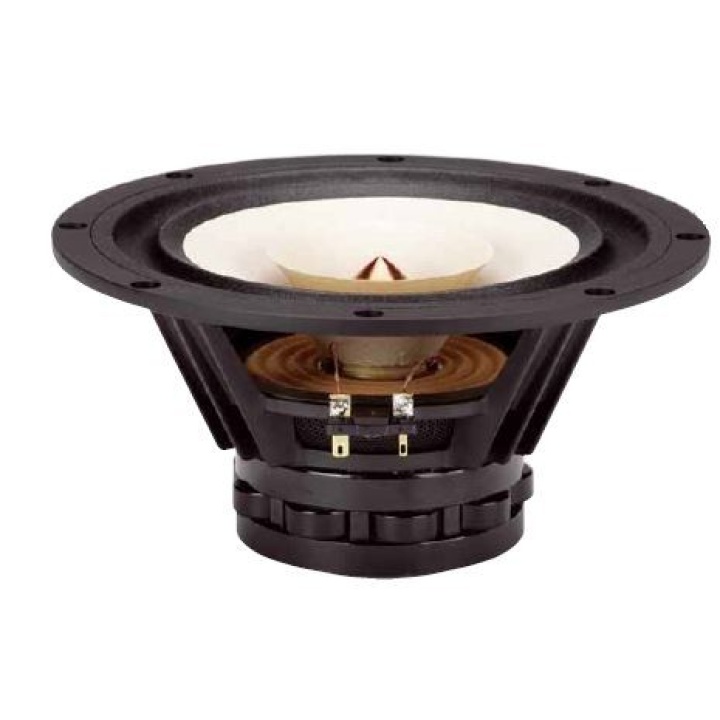 Datensatz: Tang Band W8-1808