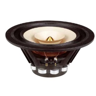 Datensatz: Tang Band W8-1772