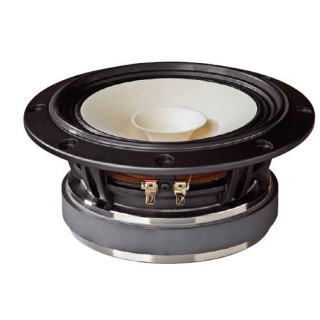 Datensatz: Fostex FE163En-S