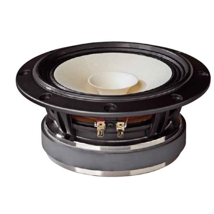 Datensatz: Fostex FE163En-S