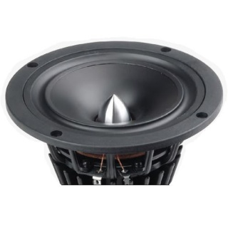 Datensatz: Tang Band W5-1611