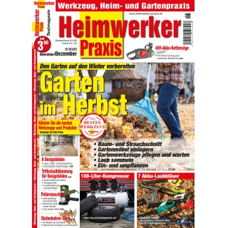 Heimwerker Praxis 6/2020 (print)