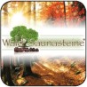 Wald Saunasteine